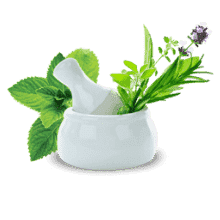 Wild Craft Herbs